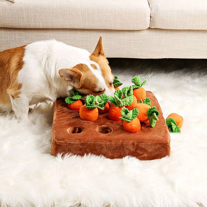 Jouet Intellectuel pour Chien - Défi Ludique et Stimulant - Foivo