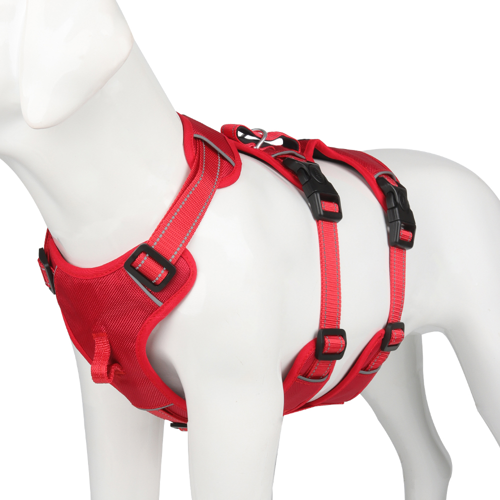 Harnais Chien Réfléchissant et Doux pour Promenade