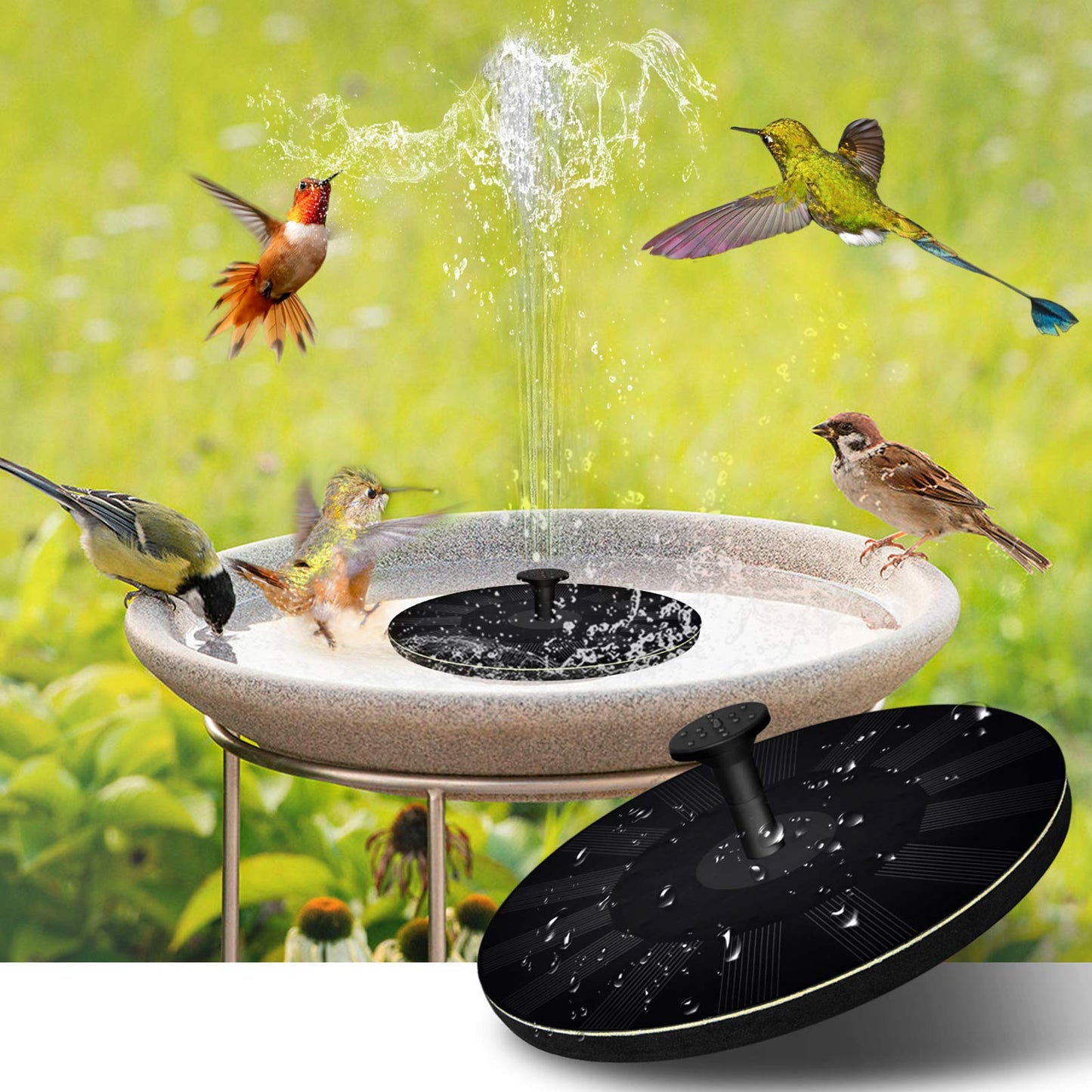 Fontaine Solaire pour Oiseaux Jardin Relaxant - Foivo