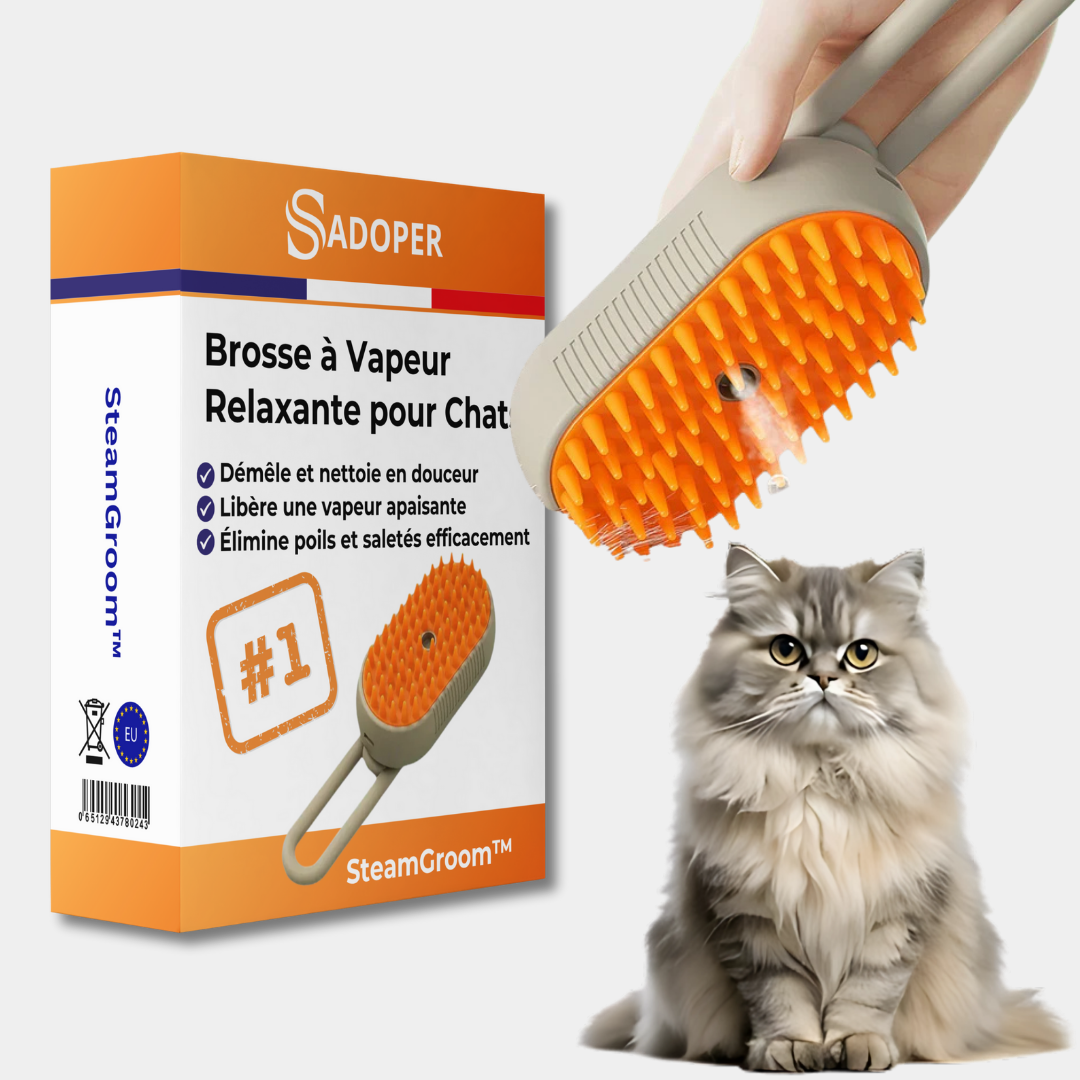 Brosse à Vapeur Douce pour Chat - blxckfr