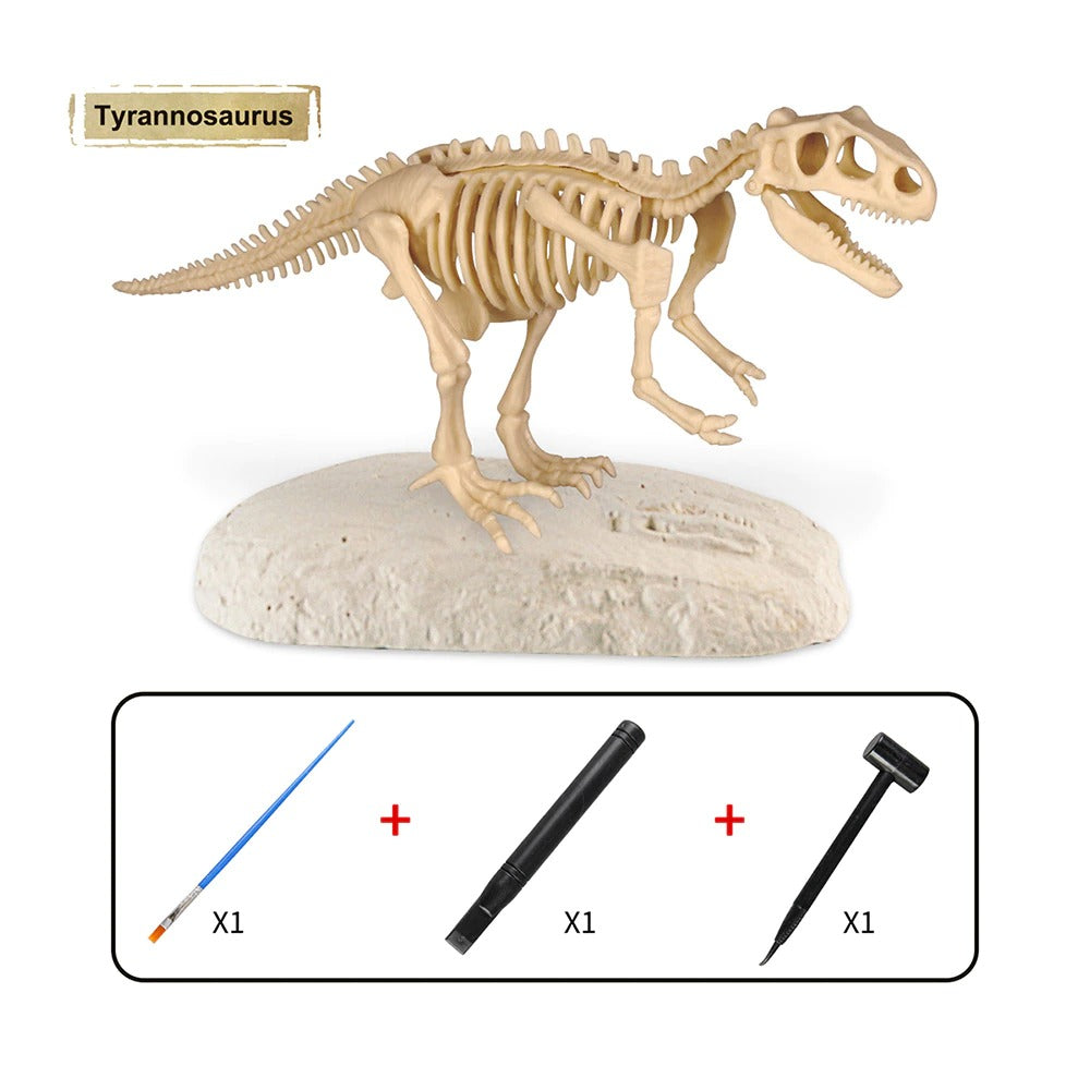 Kit Découverte Dinosaure - Fouille et Décoverte de Fossiles Préhistoriques