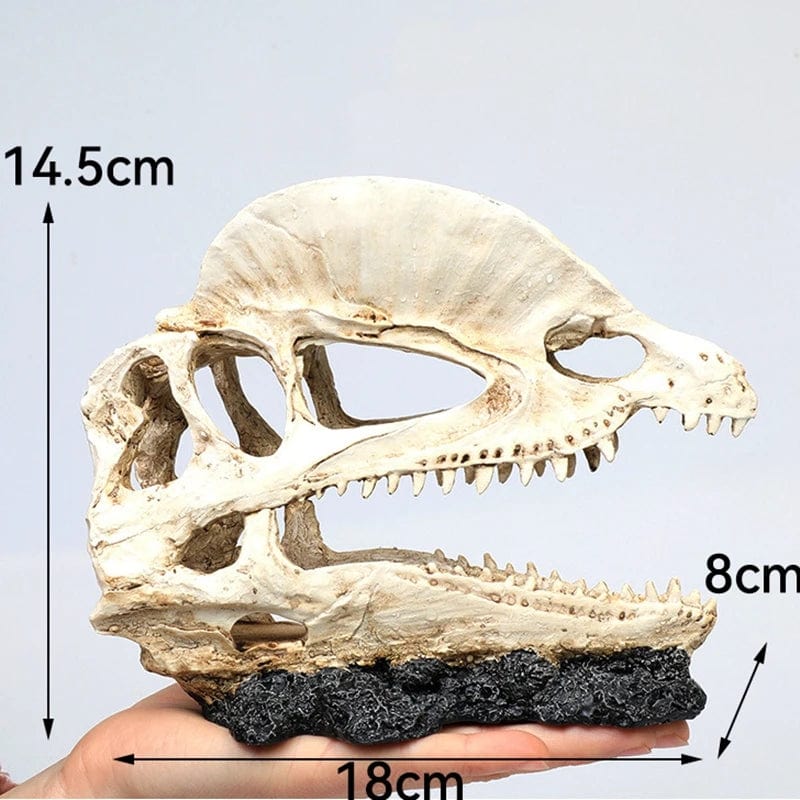 Bol à Poisson Décoratif Crâne d'Animal pour Décoration Aquarium 9
