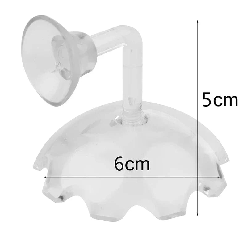 Bol d'alimentation pour crevettes en acrylique 5