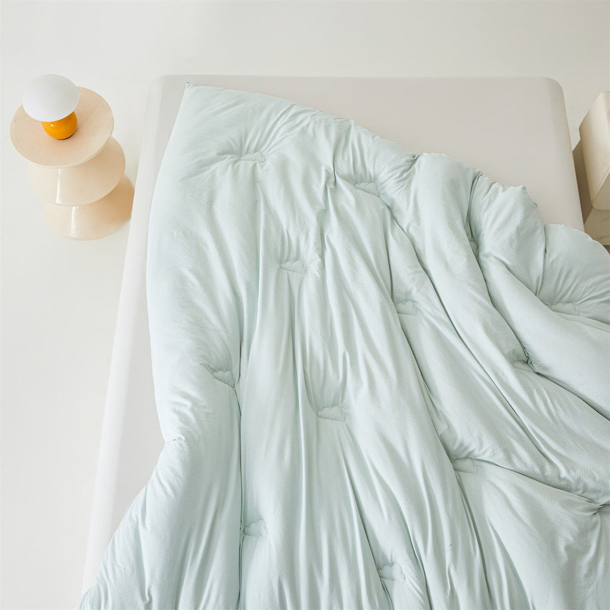 Couverture pour femmes en duvet confortable 6