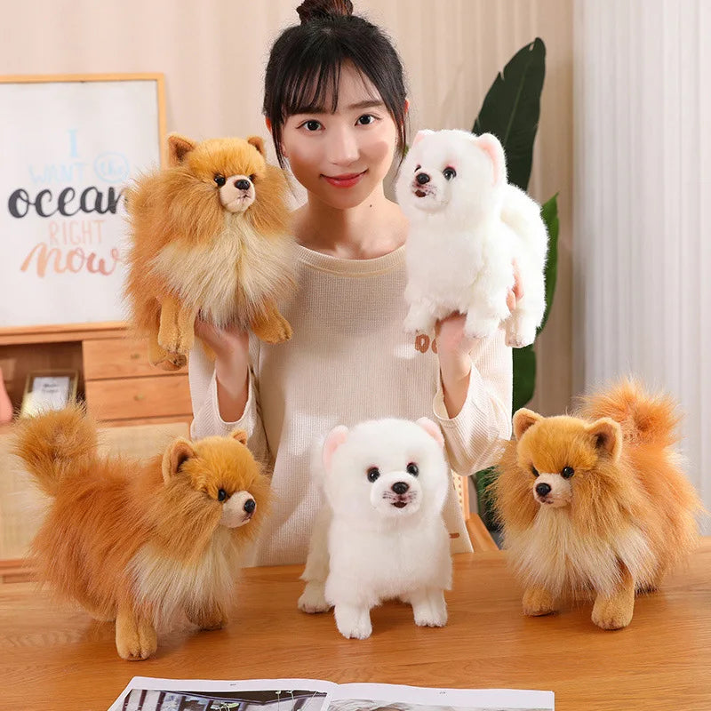 Peluche Pomeranien Mignon pour Enfant - Foivo