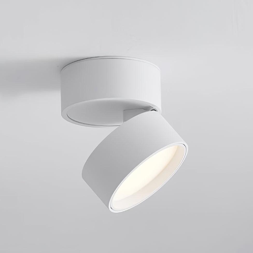 Lumière Plafond LED Design pour Tableaux