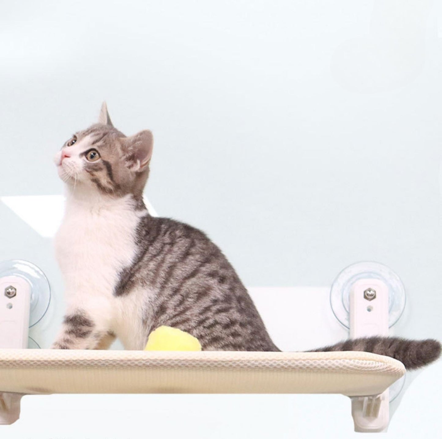 Hamac de fenêtre pour chat confortable 4