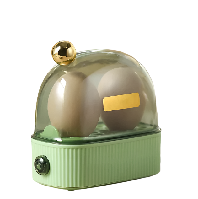 Cuisinier à Œufs Électrique Pratique