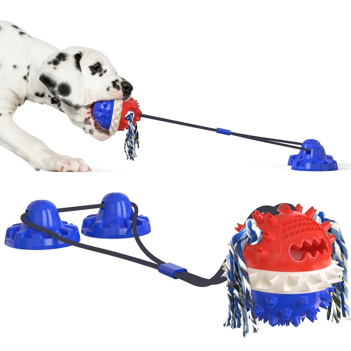 Jouet Canin Interactif Dentaire