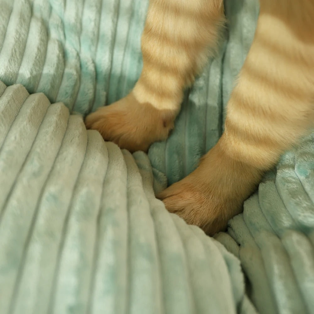 Lit pour chien orthopédique confortable 6