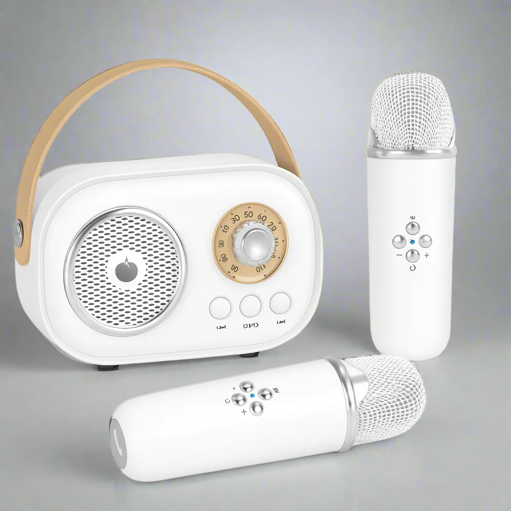 Ensemble de Haut-Parleur Bluetooth Karaoke Vintage
