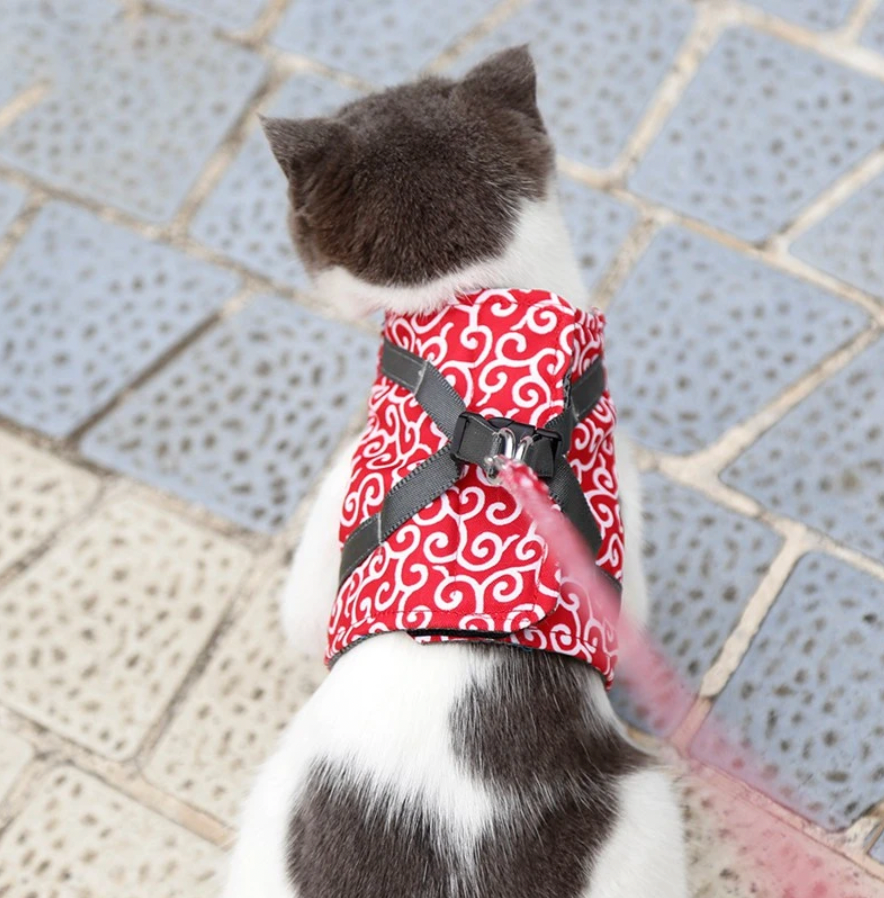 Harnais Chat Douillet | Ajustable et Laisse Colorée