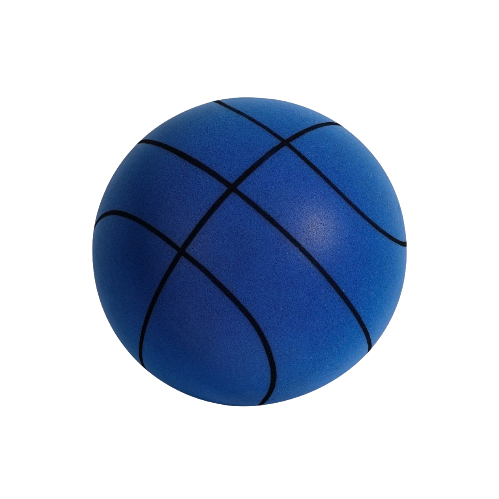 Panier de Basket Élégant et Léger - Idéal pour les Salles de Sport