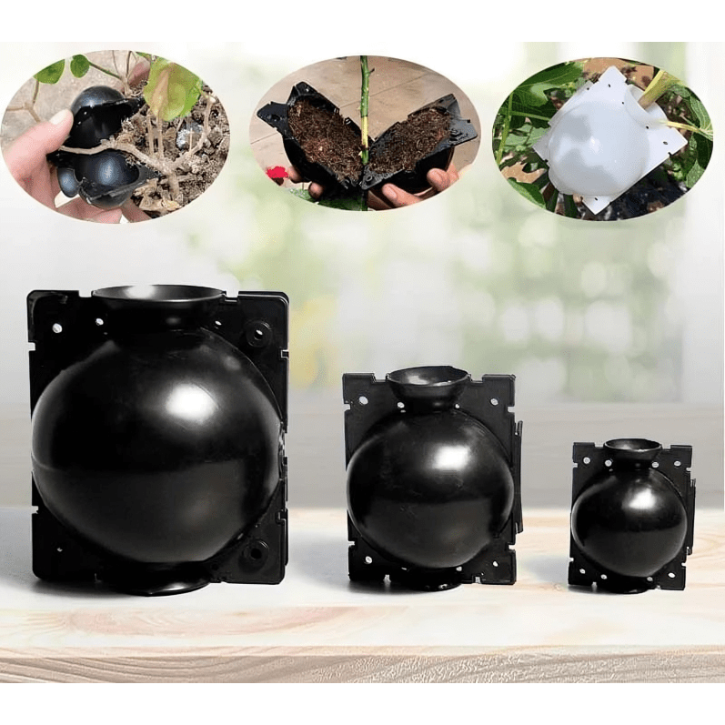 Billes de Propagation Faciles pour Plantes - BlxckFR