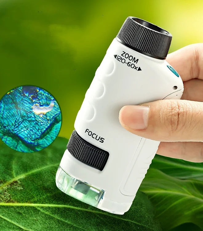 Lampe de poche pour microscope junior