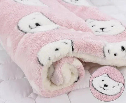 Couverture Chat Ultra Douce et Lavable
