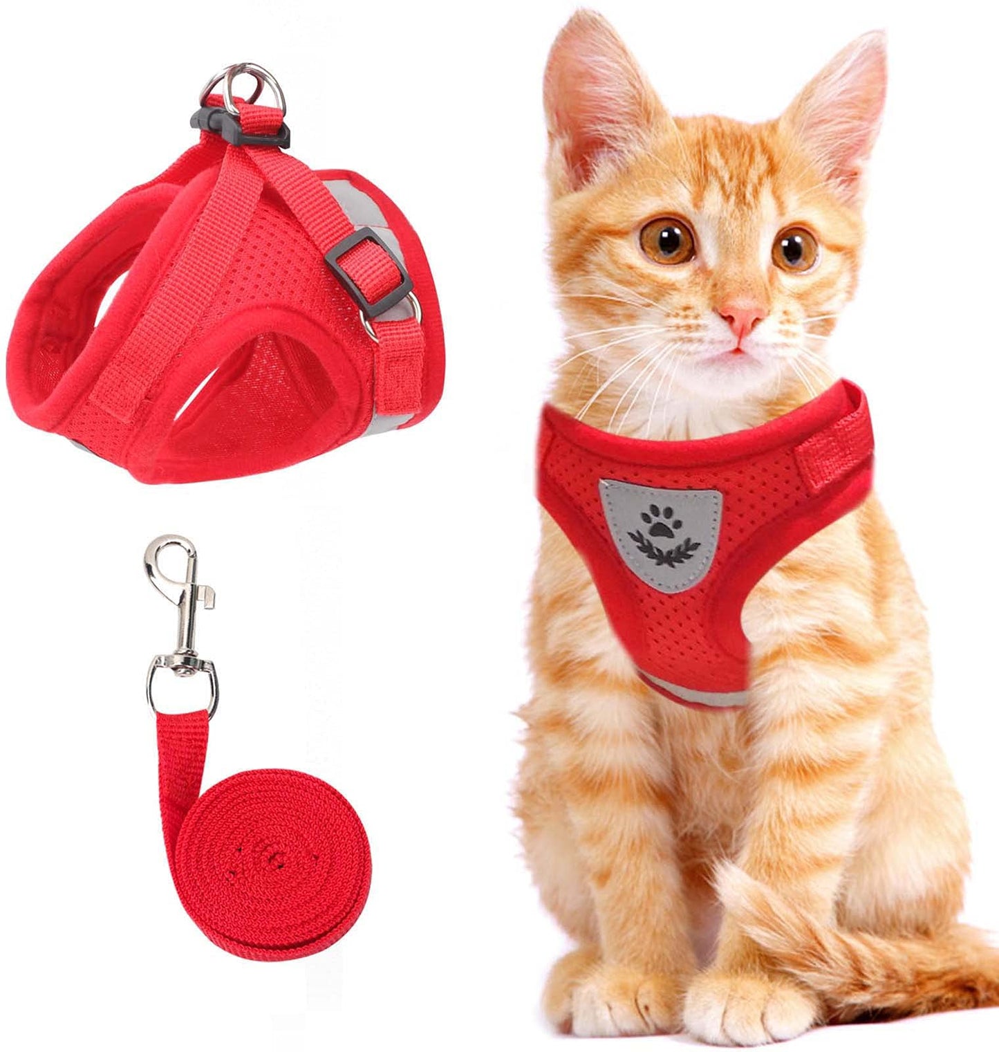 Harnais de Marche Réfléchissant pour Chats Nocturnes