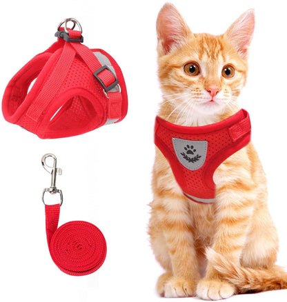 Harnais de Marche Réfléchissant pour Chats Nocturnes