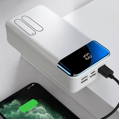 Chargeur de Puissance Portable pour Équipement de Chasse