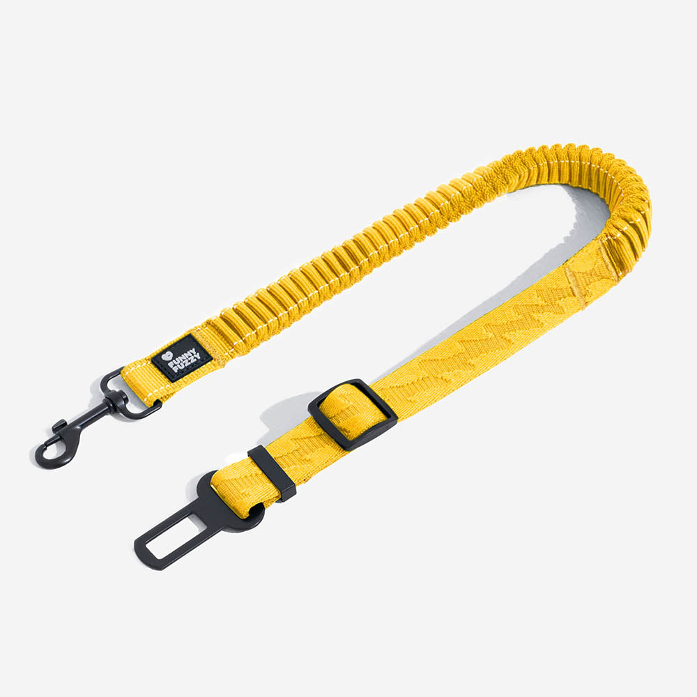 Ceinture de Sécurité pour Chien Régulable