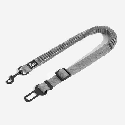 Ceinture de Sécurité pour Chien Régulable