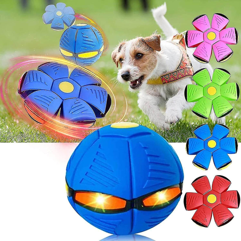 Disque de Lancement Canin – Jouet de Plaisir pour Chiens Énergiques - blxckfr