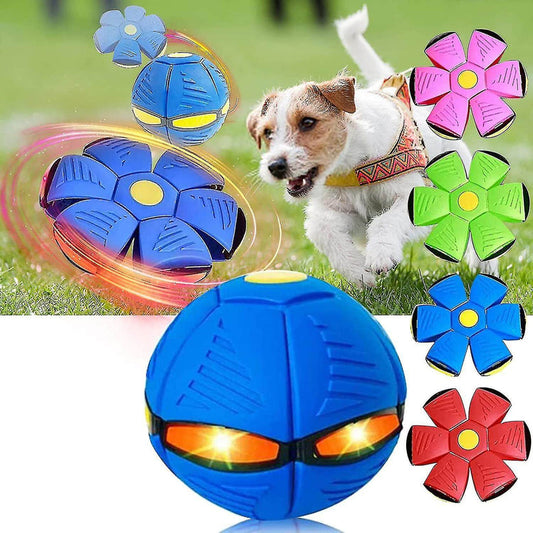 Disque de Lancement Canin – Jouet de Plaisir pour Chiens Énergiques - blxckfr