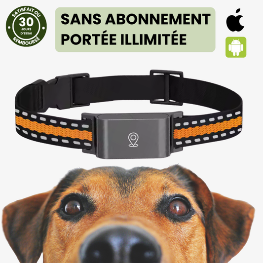 Collier GPS pour Chien - Localisation Précise Sans Limite - blxckfr