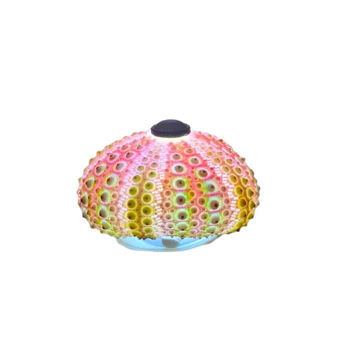 Lampe de nuit Originale Hérisson En Bois