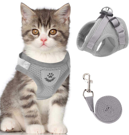 Harnais de Marche Réfléchissant pour Chats Nocturnes