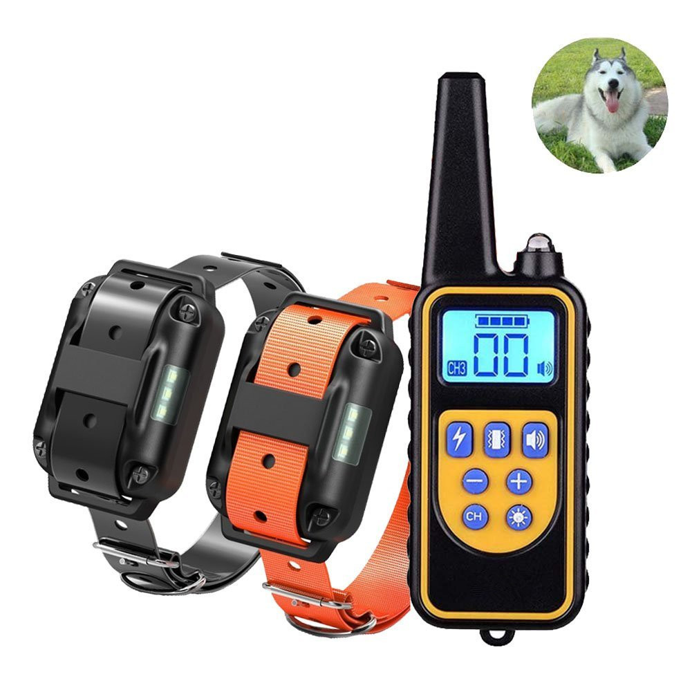 Collier d'entraînement chien étanche télécommande