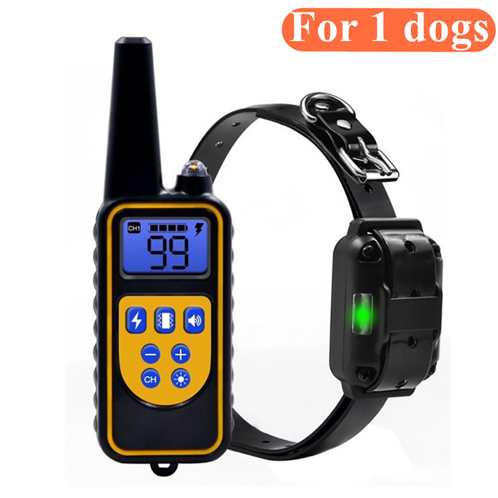 Collier d'entraînement chien étanche télécommande