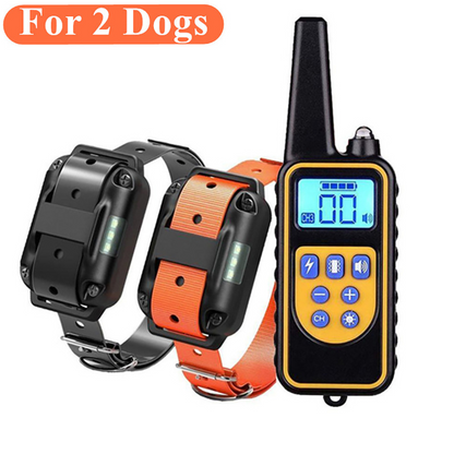 Collier d'entraînement chien étanche télécommande