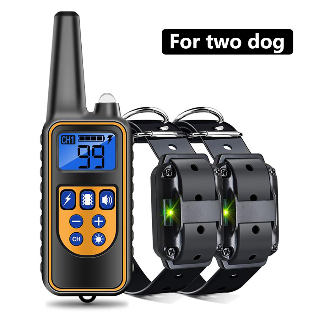 Collier d'entraînement chien étanche télécommande