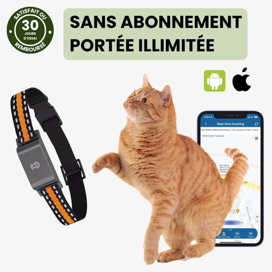 Collier GPS Tracker - Localisation En Temps Réel Sans Abonnement - blxckfr