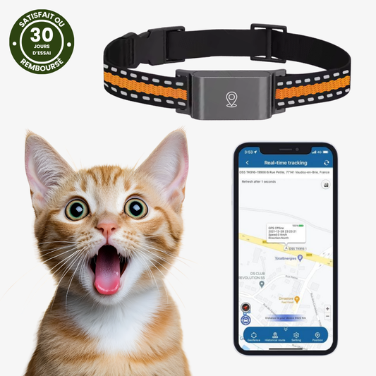 Collier GPS Intelligent - Suivi Sans Limite, Sans Abonnement - blxckfr
