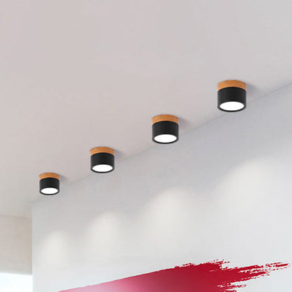 Lumière Élégante - Lampe Plafond Design Petite