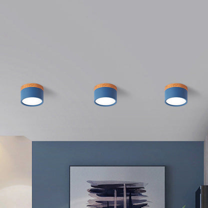 Lumière Élégante - Lampe Plafond Design Petite