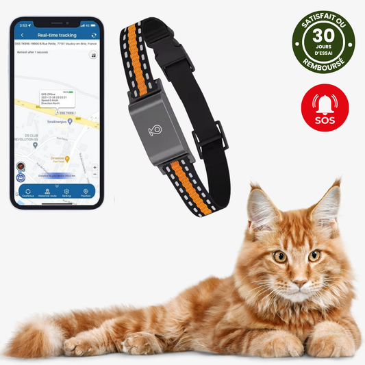 Collier GPS pour Chat - Suivi Sans Limite et Sans Abonnement - blxckfr