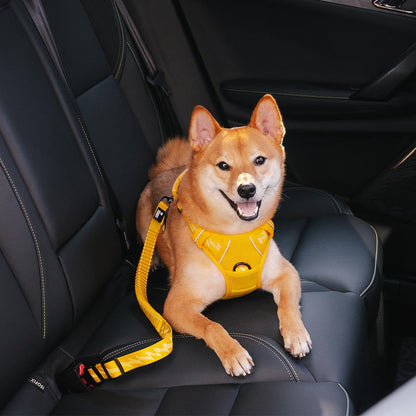Ceinture de Sécurité pour Chien Régulable - BlxckFR
