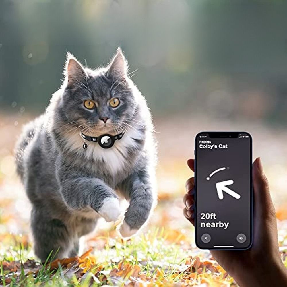 Collier GPS pour Chat | Conception Lumineuse et Sûr - Foivo