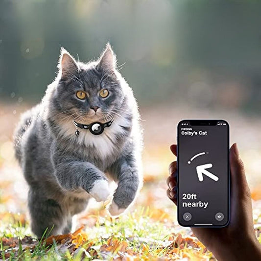 Collier GPS pour Chat | Conception Lumineuse et Sûr - Foivo