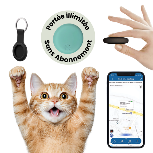 Traceur GPS pour Chats Curieux - blxckfr