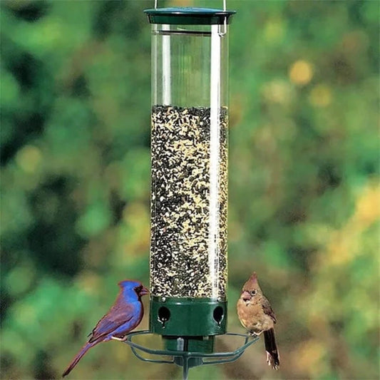 Mangeoire à Oiseaux Écureuil-Resistante - BlxckFR