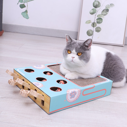 Jouet Chats Intelligent 3 en 1 Compact - Foivo