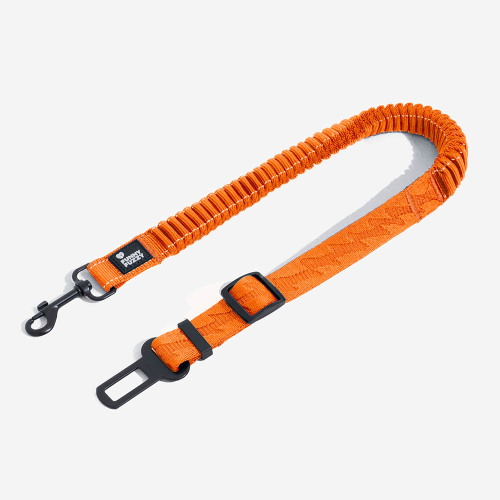 Ceinture de Sécurité pour Chien Régulable
