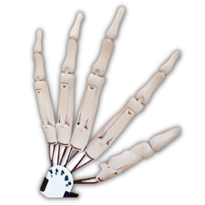 Gants main crâne fantôme