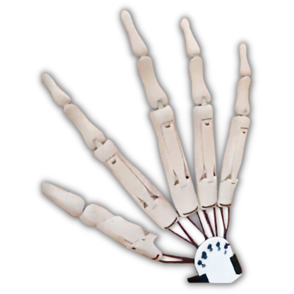 Gants main crâne fantôme