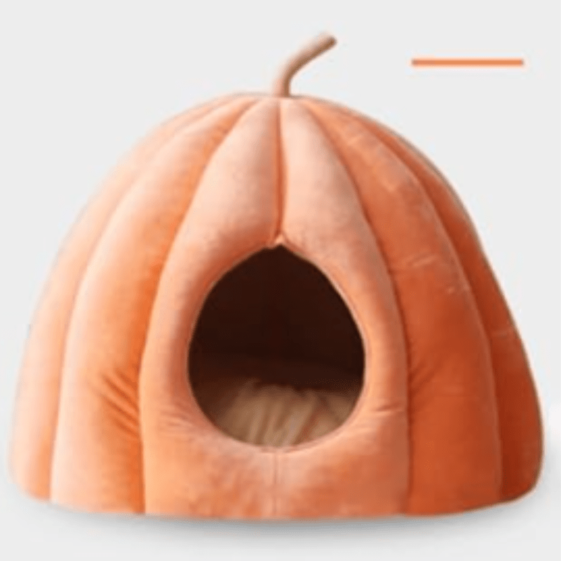 Lit Chat Douillet Automne