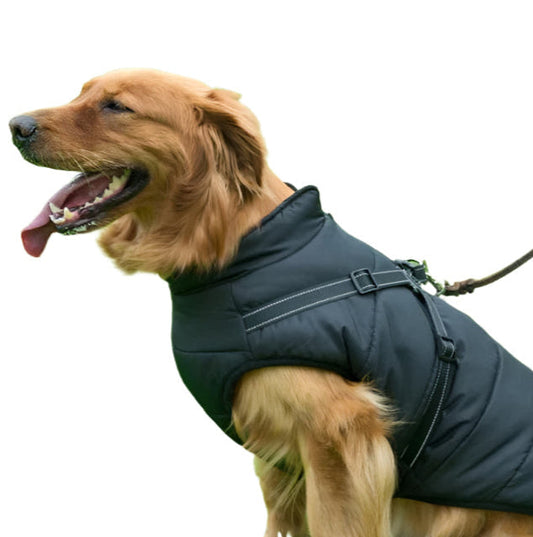 Veste douillette pour chien avec harnais intégré pour Retrievers - BlxckFR